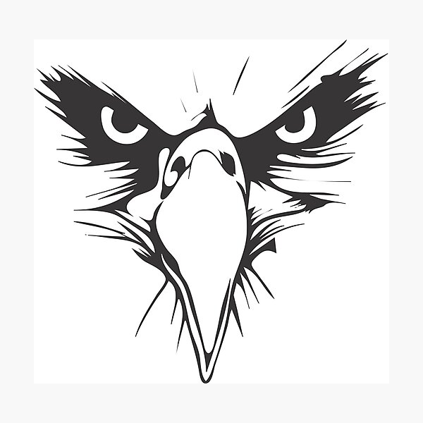 Lámina fotográfica «Ilustración de águila gris, dibujo de águila calva,  águila real, águila, cara, animales,» de EcasUtopia | Redbubble
