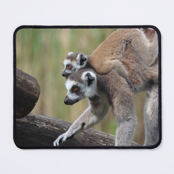 Item preview, Ring-tailed Lemurs designed and sold by Mythos57.
