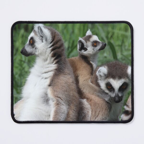 Item preview, Ring-tailed Lemur Family designed and sold by Mythos57.
