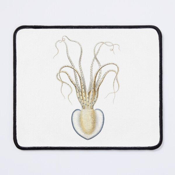 Item preview, Pinnoctopus cordiformis designed and sold by antaltamas89.