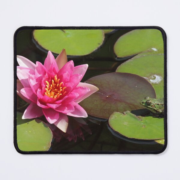 Item preview, Frog and Water Lily designed and sold by Mythos57.