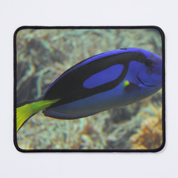 Item preview, Paracanthurus hepatus designed and sold by Mythos57.