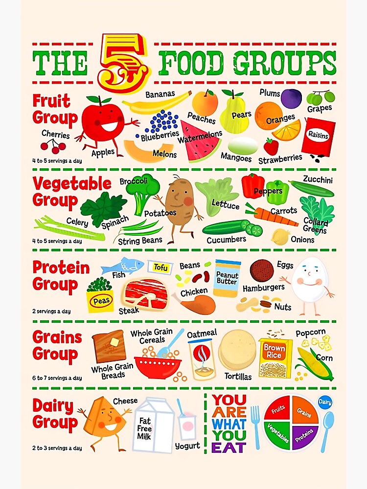 5 Food Groups Poster