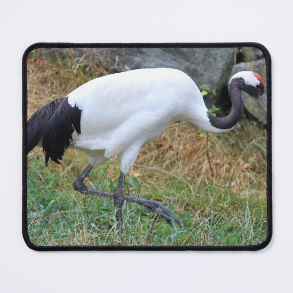 Item preview, Grus japonensis designed and sold by Mythos57.