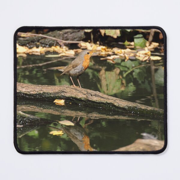 Item preview, Erithacus rubecula designed and sold by Mythos57.