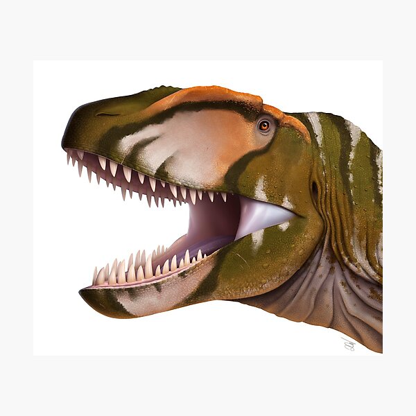Item preview, Carcharodontosaurus designed and sold by David Arruda.