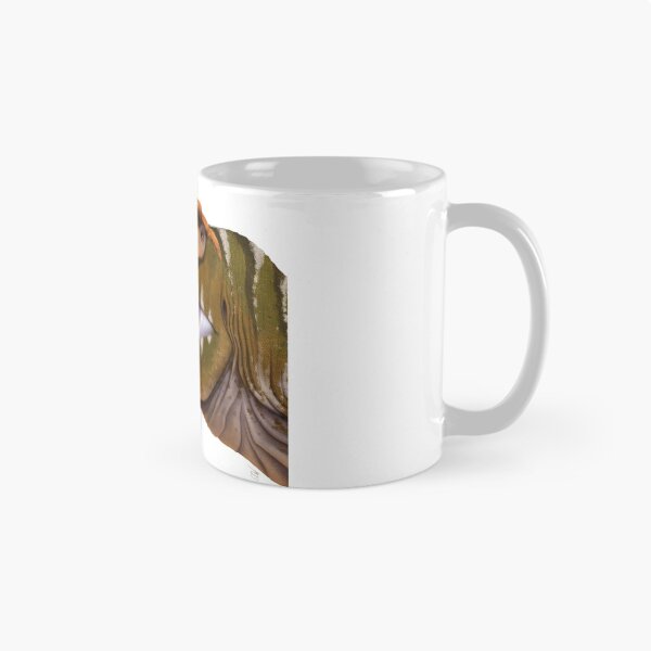 Item preview, Carcharodontosaurus designed and sold by David Arruda.