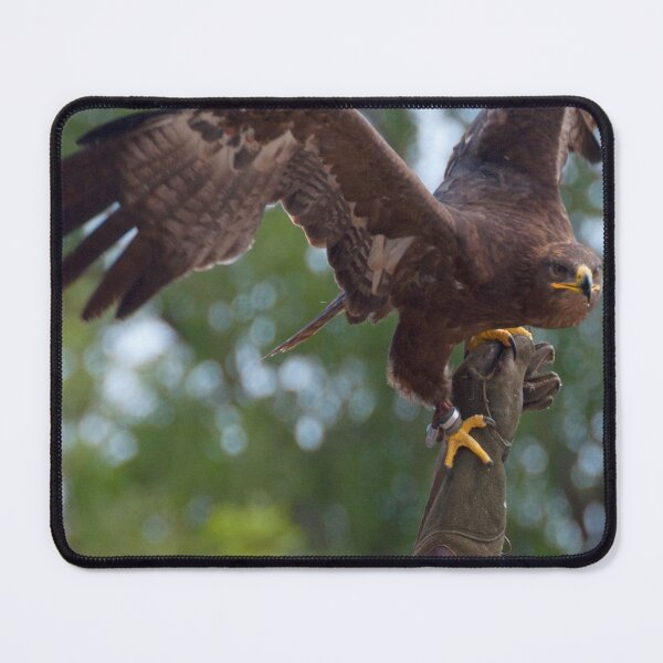Item preview, Aquila nipalensis designed and sold by Mythos57.