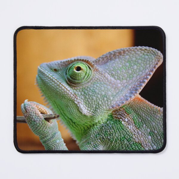 Item preview, Chamaeleo calyptratus designed and sold by Mythos57.