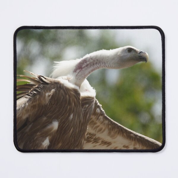 Item preview, Gyps fulvus designed and sold by Mythos57.