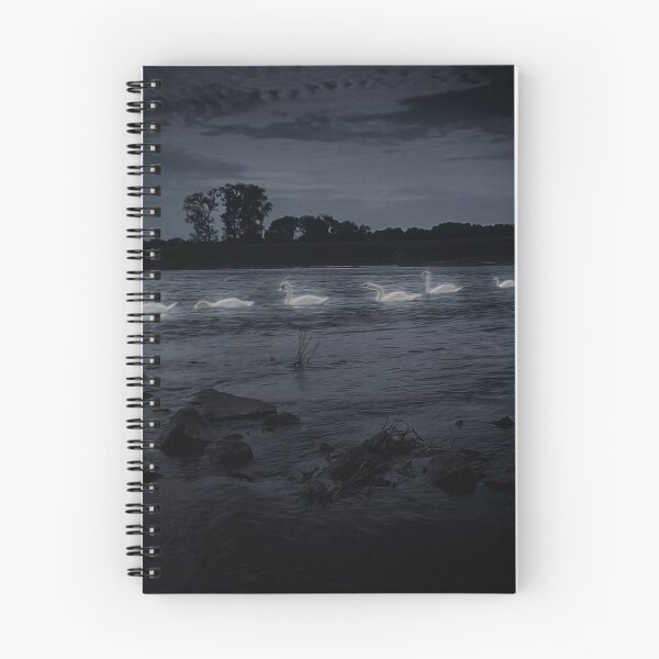 Item preview, NIGHT SWANS designed and sold by André Cremers.