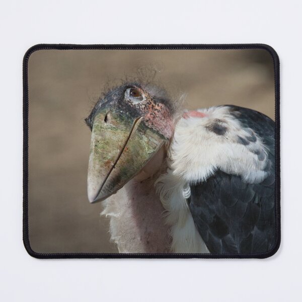 Item preview, Leptoptilos crumeniferus designed and sold by Mythos57.
