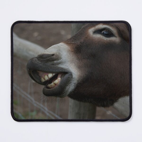 Item preview, Feed Me! designed and sold by Mythos57.