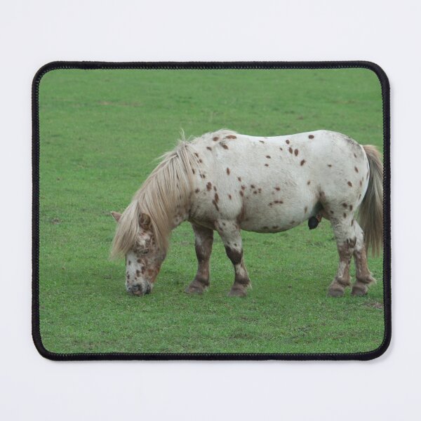 Item preview, Miniature Shetland Pony designed and sold by Mythos57.