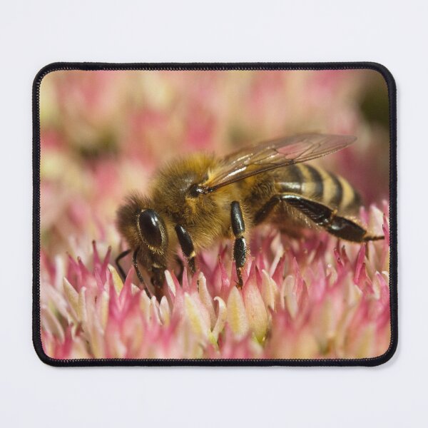 Item preview, Apis mellifera designed and sold by Mythos57.