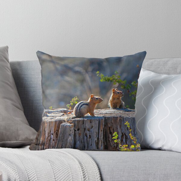 Item preview, Chipmunks, Forest, Nature, Prints,  designed and sold by DAM Creative ⭐⭐⭐⭐⭐.