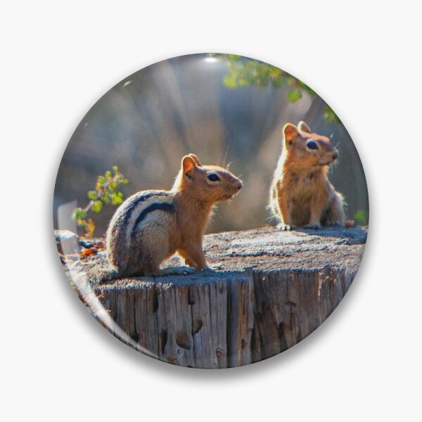 Item preview, Chipmunks, Forest, Nature, Prints,  designed and sold by DAM Creative ⭐⭐⭐⭐⭐.