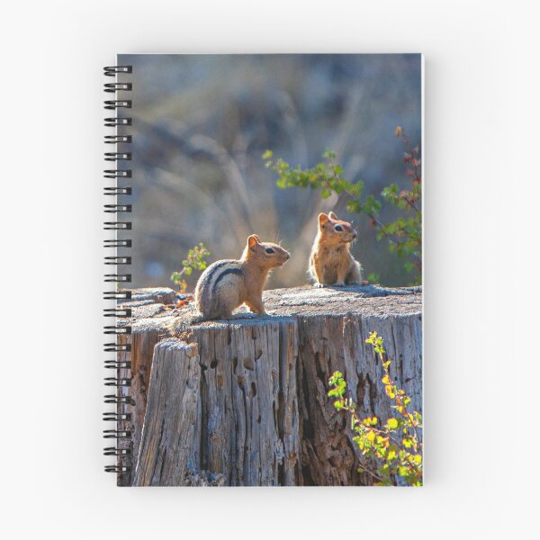 Item preview, Chipmunks, Forest, Nature, Prints,  designed and sold by DAM Creative ⭐⭐⭐⭐⭐.