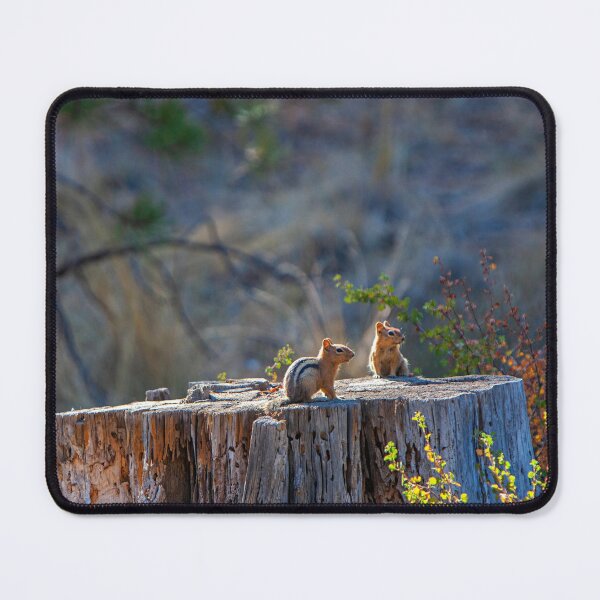 Item preview, Chipmunks, Forest, Nature, Prints, designed and sold by DAM Creative ⭐⭐⭐⭐⭐.