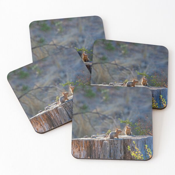 Item preview, Chipmunks, Forest, Nature, Prints,  designed and sold by DAM Creative ⭐⭐⭐⭐⭐.