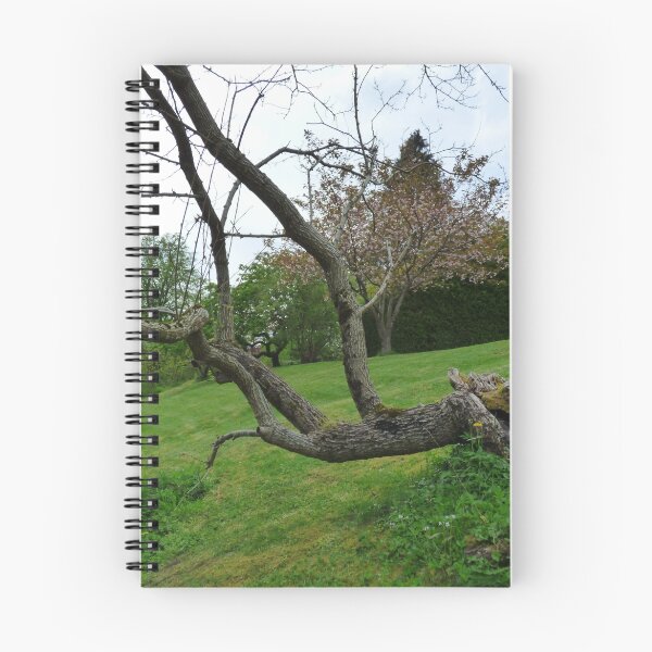Item preview, Leaning tree designed and sold by dees-photos.