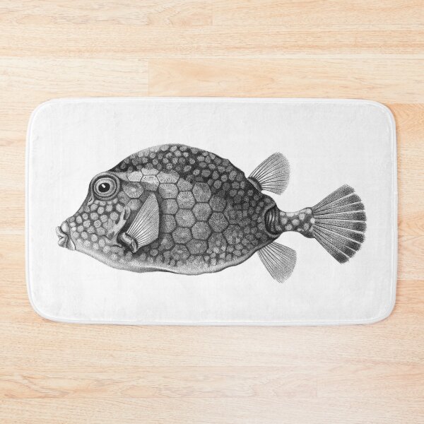 Item preview, Jacques Reyne Isidore Acarie-Baron: Smooth Trunkfish designed and sold by antaltamas89.