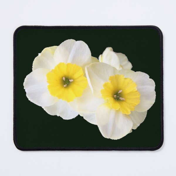 Item preview,  Twin Daffodils  designed and sold by Amanda1775.