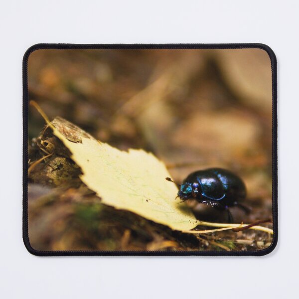 Item preview, Beetle and his journey designed and sold by Dominika Aniola.