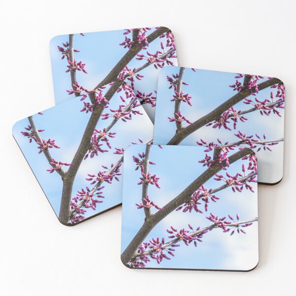 Item preview, Spring Beginnings designed and sold by Westhemm.