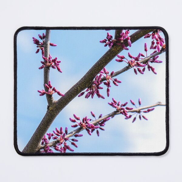 Item preview, Spring Beginnings designed and sold by Westhemm.