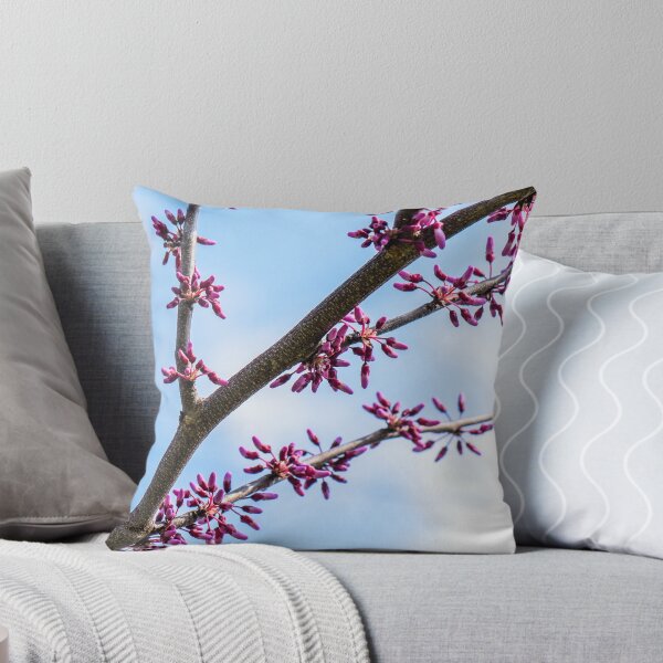 Item preview, Spring Beginnings designed and sold by Westhemm.