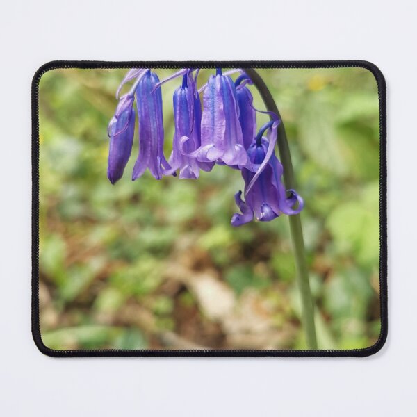 Item preview, Bluebell  designed and sold by mark-lambert.