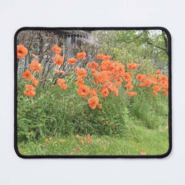 Item preview, Poppies by the House designed and sold by Kathleen Brant.