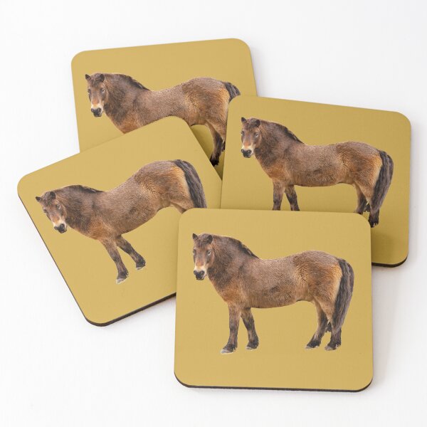 Aperçu de l'œuvre Poney Exmoor créée et vendue par Dalyndigital Photography.