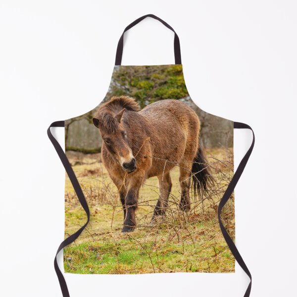 Item preview, Exmoor Pony designed and sold by Dalyndigital Photography.
