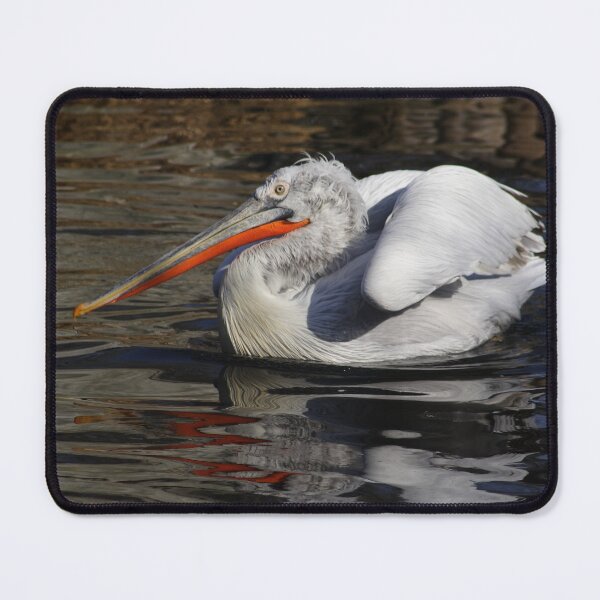 Item preview, Pelecanus crispus designed and sold by Mythos57.