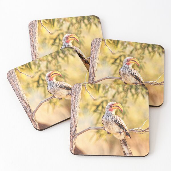 Item preview, Yellow hornbill designed and sold by Liesl Kustermann.