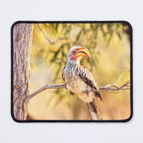 Item preview, Yellow hornbill designed and sold by Liesl Kustermann.