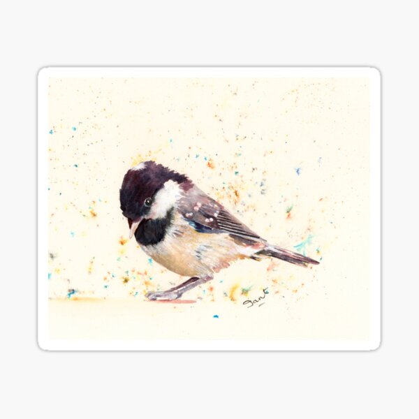 'Shy little coal tit', painted in Brusho Sticker