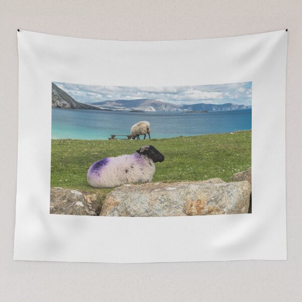 Item preview, Cute sheep on the hills of Achill Island in County Mayo on the west coast of the Republic of Ireland  designed and sold by AlbertMi.