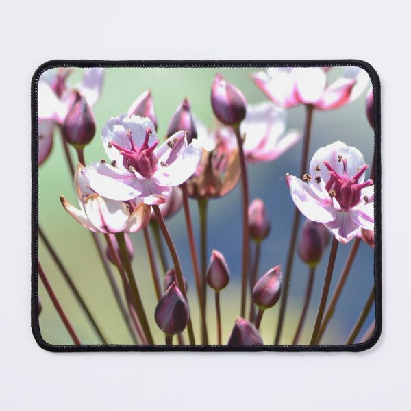 Item preview, Summer Pink Flowers Macro designed and sold by Esther Hutchcroft.