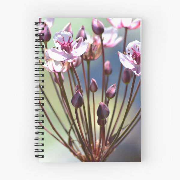 Item preview, Summer Pink Flowers Macro designed and sold by Esther Hutchcroft.