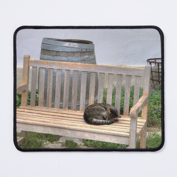 Item preview, Sleeping Cat On Wooden Bench designed and sold by Mythos57.