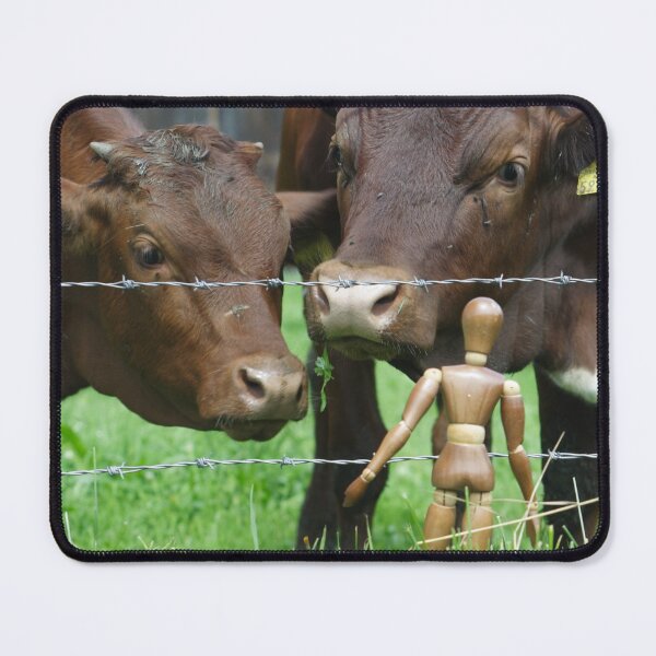 Item preview, Amazed Cows designed and sold by Mythos57.