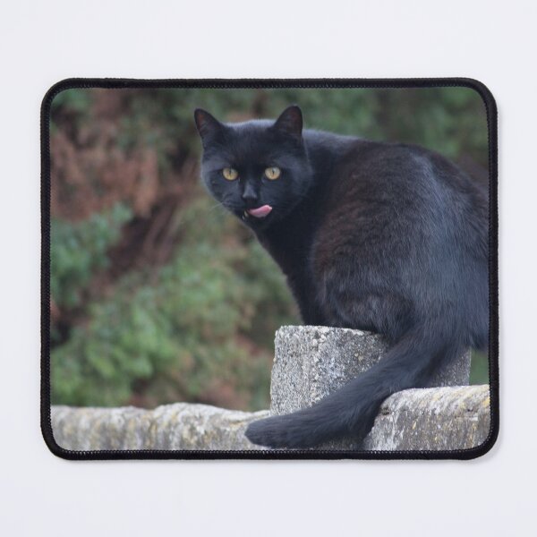 Item preview, sticking out tongue designed and sold by Mythos57.