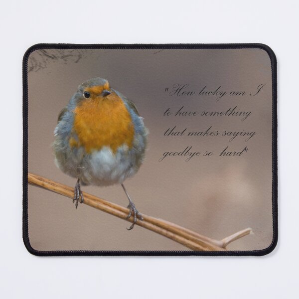 Item preview, Robin's message of sympathy designed and sold by HaleyRedshaw.