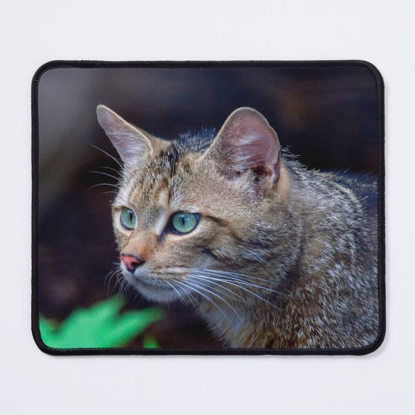 Item preview, European Wildcat designed and sold by Mythos57.