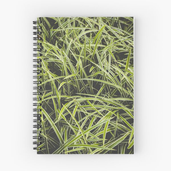 Item preview, Green designed and sold by FigureAndFold.