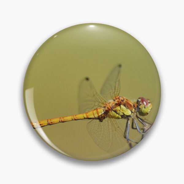 Item preview, Dragonfly macro  designed and sold by Esther Hutchcroft.
