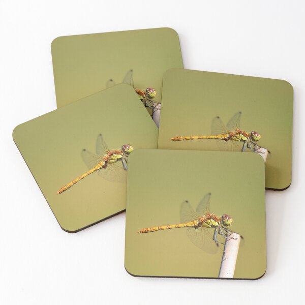 Item preview, Dragonfly macro  designed and sold by Esther Hutchcroft.